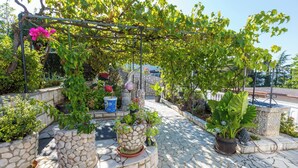 Un jardín con varias plantas en macetas y una estructura de pérgola.