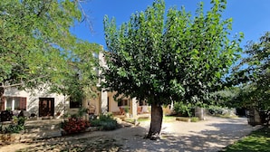 A courtyard with a large tree, a white building with a stone facade, and a gravel path. - Apartment Gina (Bale)