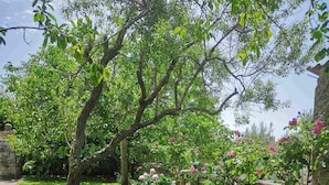 A well-maintained garden with a variety of flowering plants and a stone wall. - Apartment Gina (Bale)