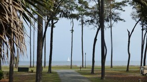 Ein Weg führt zu einem Strand, gesäumt von hohen Bäumen, mit freiem Blick auf das Meer.
