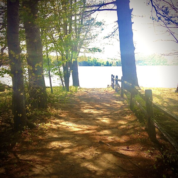A forested path leading to a lake with a wooden fence and a bench. - Cottage by the Lake #3 - Blossoms (Bristol)