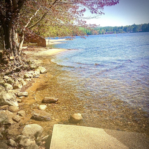 Cottage by the Lake #3 - Blossoms
