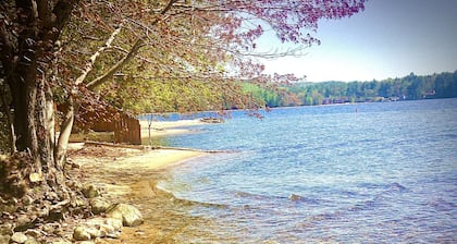 Cottage by the Lake #3 - Blossoms