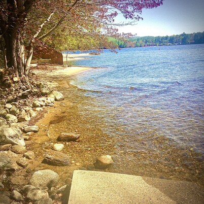 Cottage by the Lake #3 - Blossoms