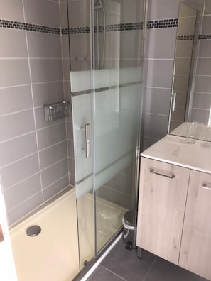 Shower, hair dryer, towels, toilet paper