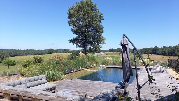 Une terrasse en bois avec une piscine, entourée d’une végétation luxuriante et d’un grand arbre.
