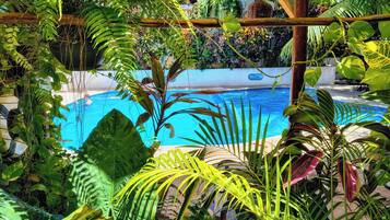 A pool surrounded by lush tropical plants and a wooden pergola.