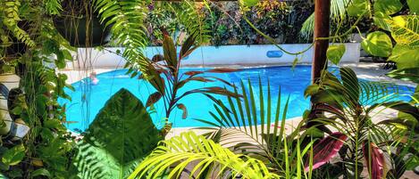 Una piscina al aire libre