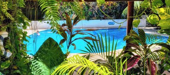 Hotel & Suites Oasis Bacalar "Suite Tapir"
