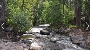 A river flowing through a forested area with rocks and trees.