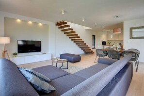 Flat-screen TV