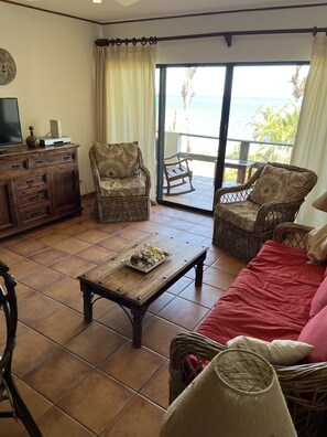 智能電視、書籍