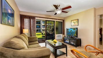 TV, DVD player, books, offices