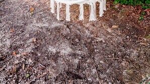 Una silla colgante de mimbre blanco en una zona boscosa.