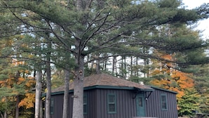 Une cabane rustique avec une porte et des fenêtres vertes, entourée de grands arbres et du feuillage automnal.