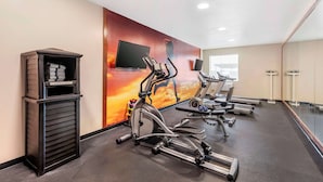 Ein Fitnessraum mit Ergometer, Laufband und einem Bildschirm an der Wand.