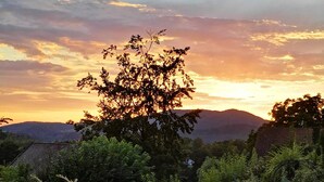 A garden with a variety of plants and flowers, a tree, and a view of distant hills.