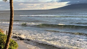 Una playa con olas, una palmera y una montaña al fondo.