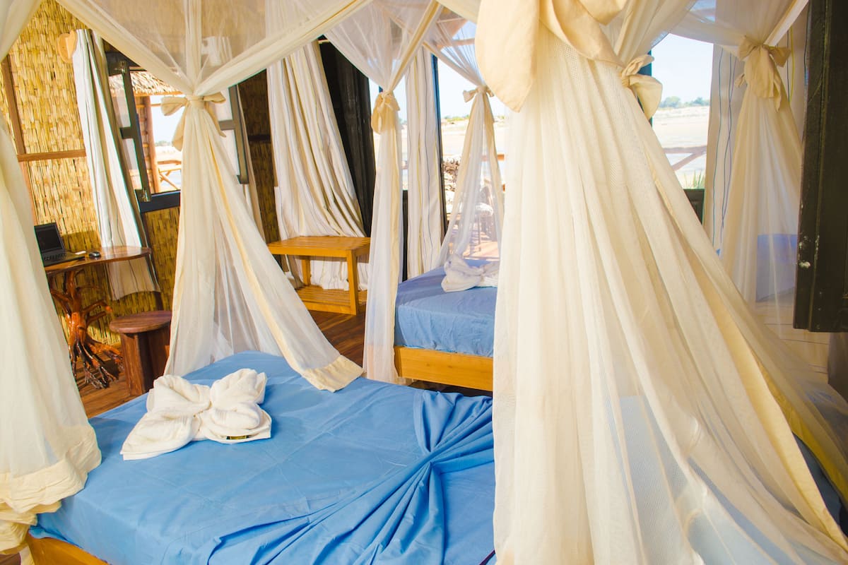 A room with two beds covered in blue sheets, a wooden table, and a laptop on a chair.