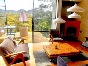 Smart TV, fireplace, books, music library