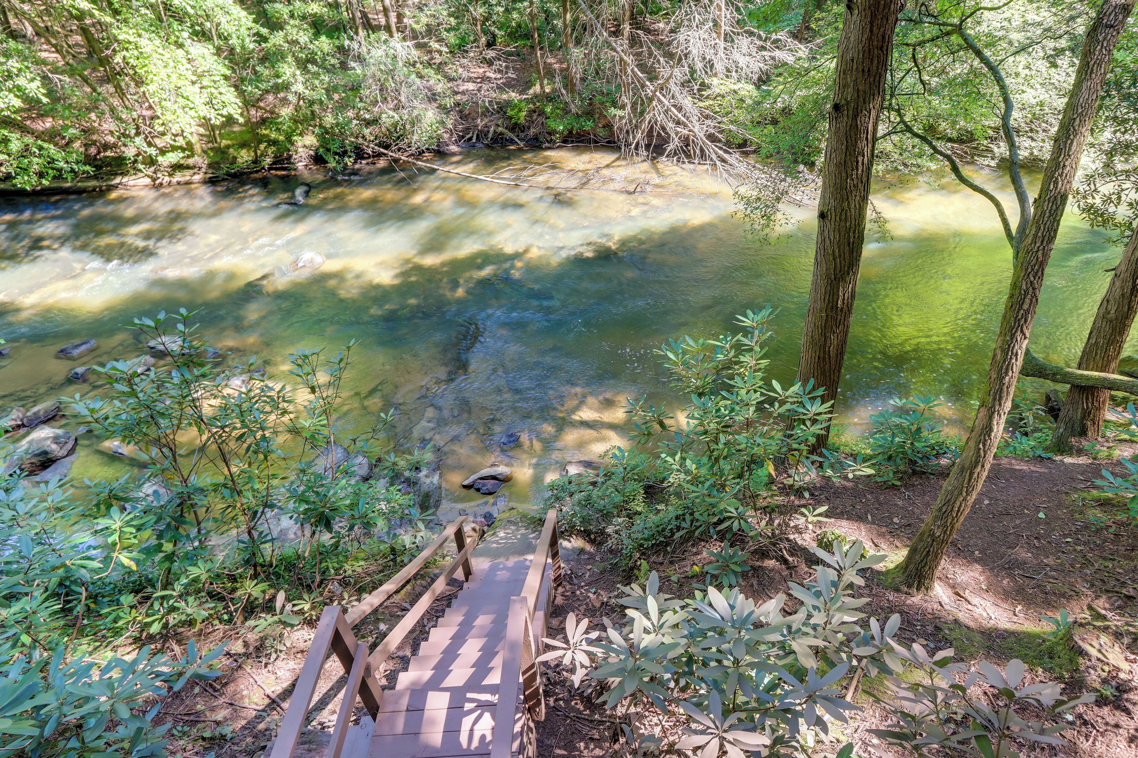 Un puente de madera que conduce a un arroyo cristalino rodeado de follaje.