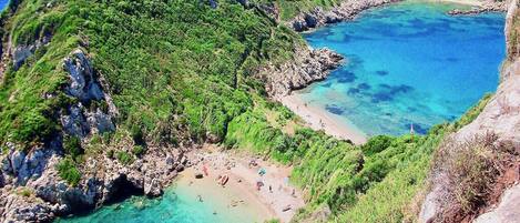 ビーチの近く、サンラウンジャー