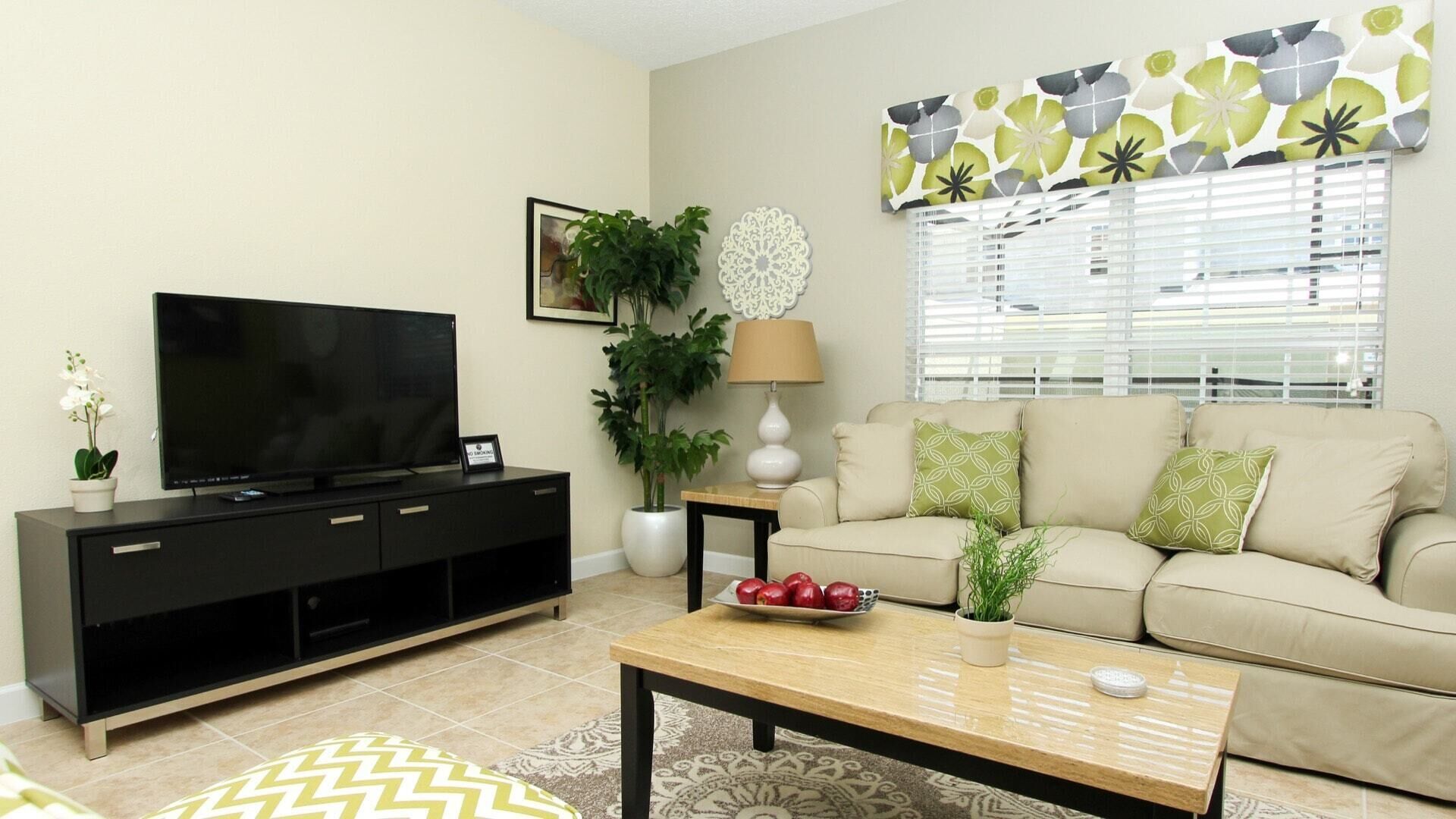 TV, DVD player, table tennis