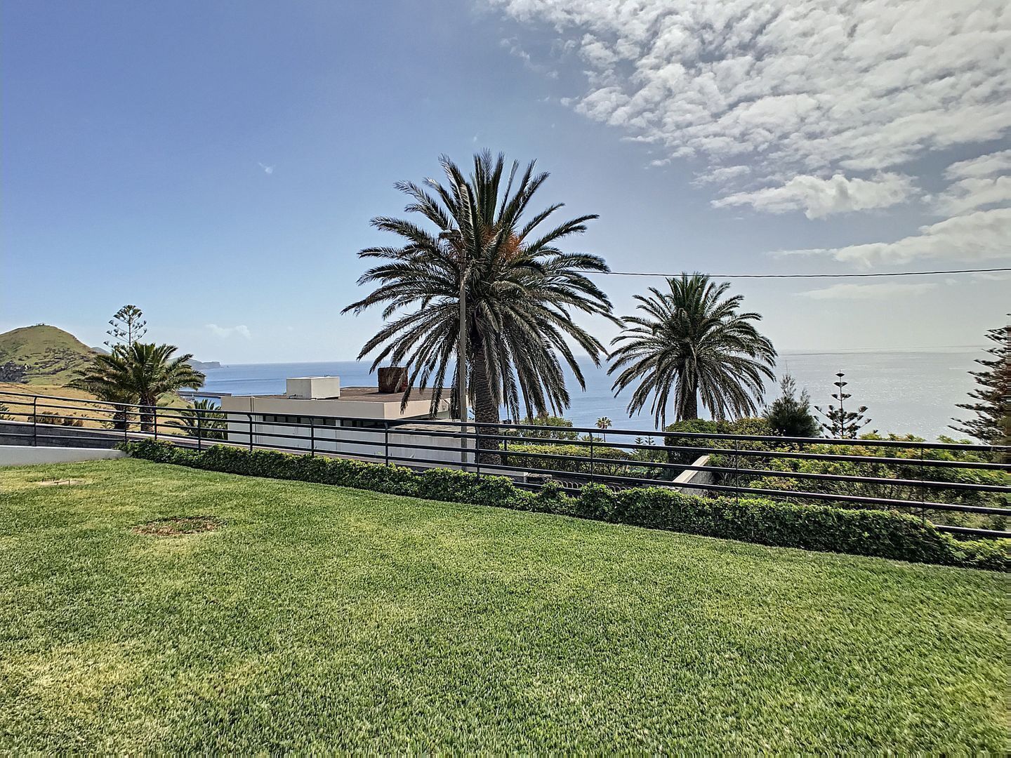A grassy area with a metal railing, palm trees, and a view of the ocean.