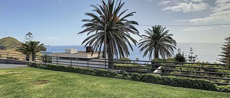 A grassy area with a metal railing, palm trees, and a view of the ocean.