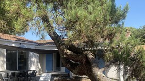 Une maison avec un patio, une table à manger avec des chaises et un grand arbre au premier plan.