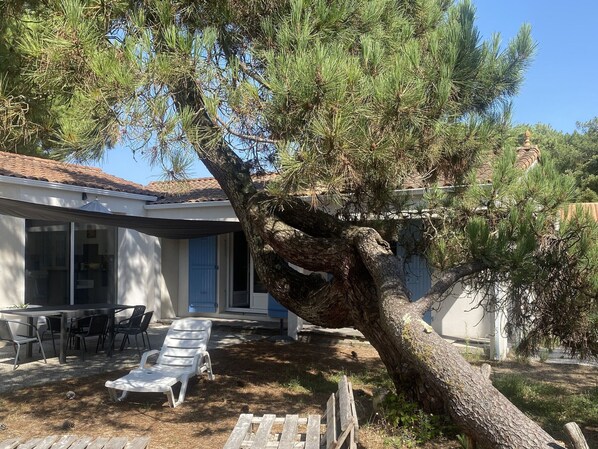 A house with a patio area, a dining table with chairs, and a large tree in the foreground.