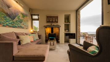 智能电视、壁炉、DVD 播放器、书