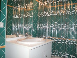 Bathroom - 3-room house with garden, BBQ, pets allowed in Banyuls-sur-Mer (Banyuls-sur-Mer)
