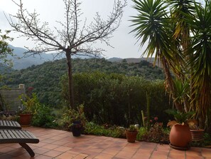 Terrace/patio - 3-room house with garden, BBQ, pets allowed in Banyuls-sur-Mer (Banyuls-sur-Mer)