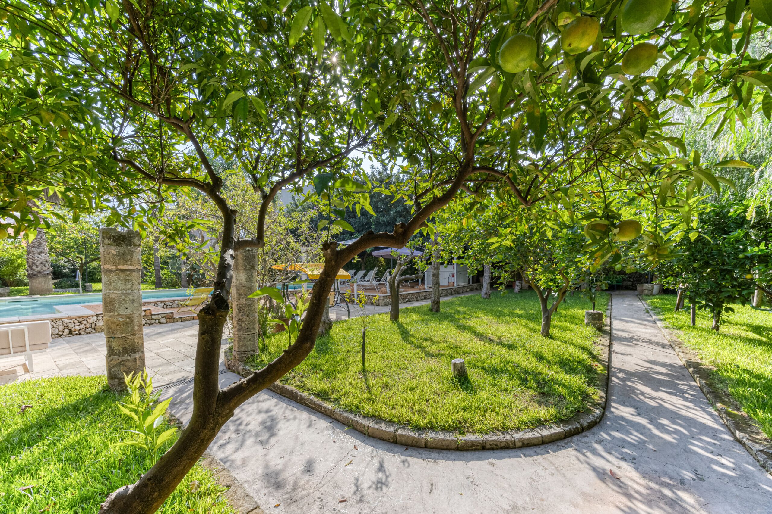 Parco della struttura