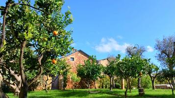 Parco della struttura