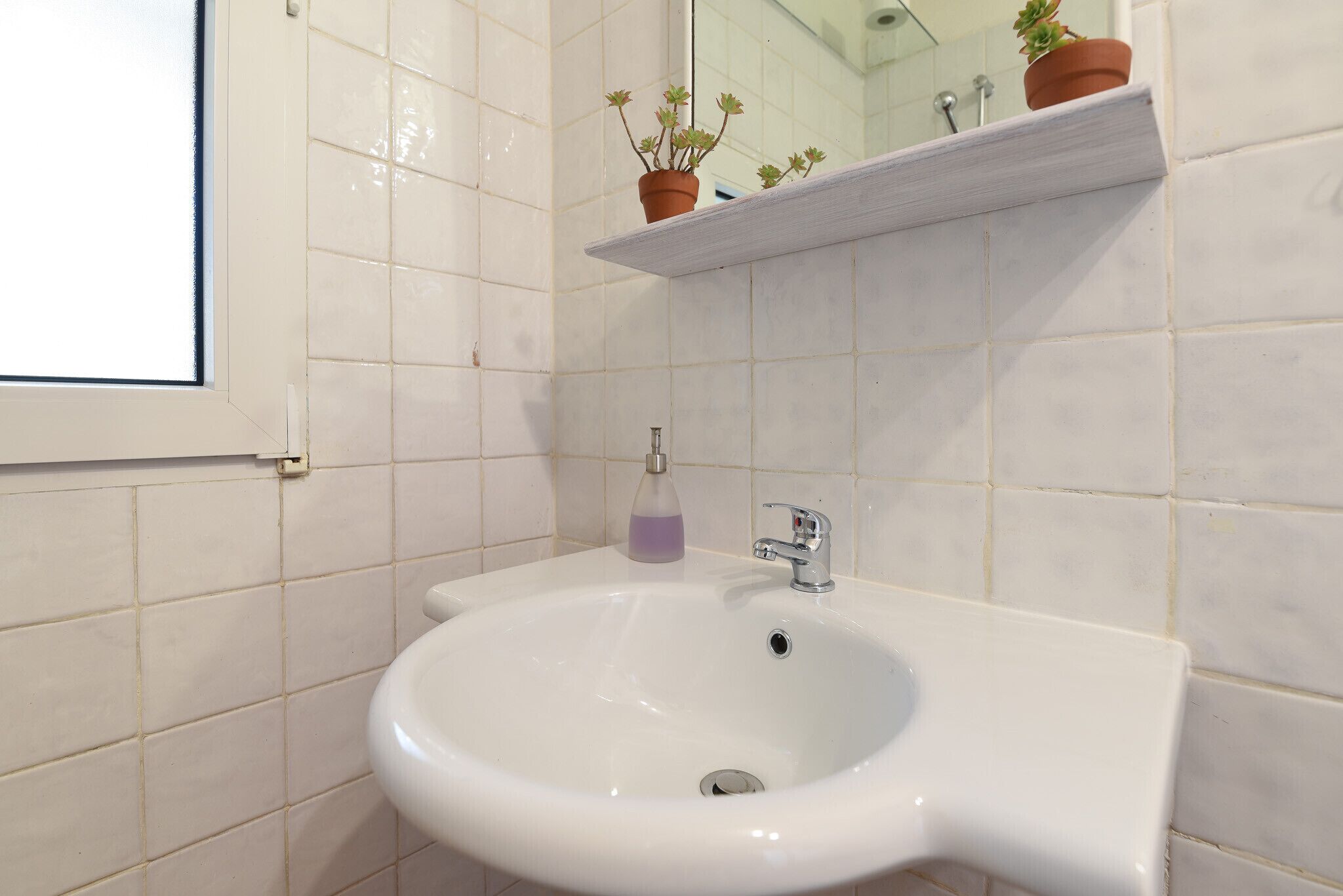 A bathroom with a white sink, a mirror, and a shelf with potted plants.
