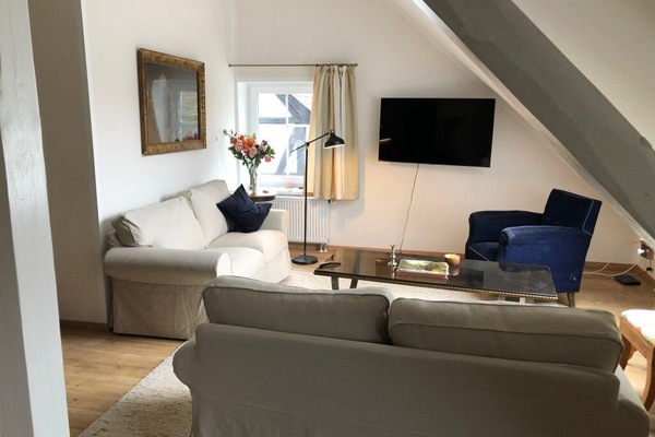 Smart TV, fireplace, table tennis, books