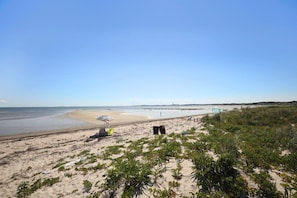 海灘