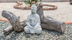 Una estàtua de Buda asseguda sobre un tronc en un jardí amb camins de grava i plantes en testos.