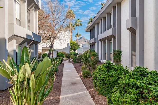 A residential street with modern houses, a concrete pathway, and various plants.