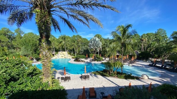 Uma área de piscina em resort, com espreguiçadeiras e guarda-sóis, cercada por palmeiras e vegetação.