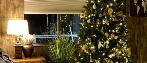 TV, fireplace, DVD player, books