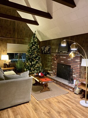 TV, fireplace, DVD player, books