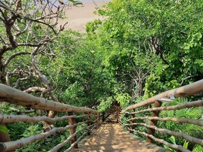 Cross a rustic bridge through a lush, green environment.