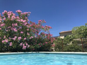 Piscine extérieure, piscine chauffée