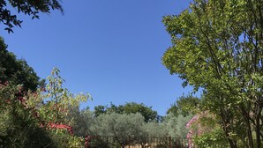 A stone pathway leading to a swimming pool surrounded by lush greenery and stone walls. - Pretty Mas provençal, private pool, Airco, 5bed (10p), 3bath, Boulodrome, Hammock. (Saint-Michel-d'Euzet)