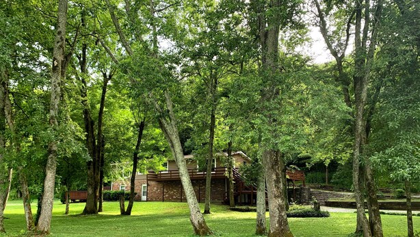 Una cabaña rústica rodeada de un bosque frondoso y verde.