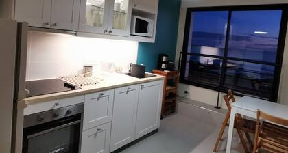 T3 -Vue Ocean, pieds dans l'eau, jardin et terrasse vue mer, parking gratuit.