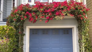 A garage door with a blue door, surrounded by a lush green hedge and vibrant pink flowers.